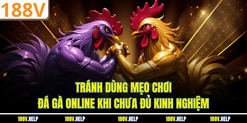 Tránh dùng mẹo chơi đá gà online khi chưa đủ kinh nghiệm